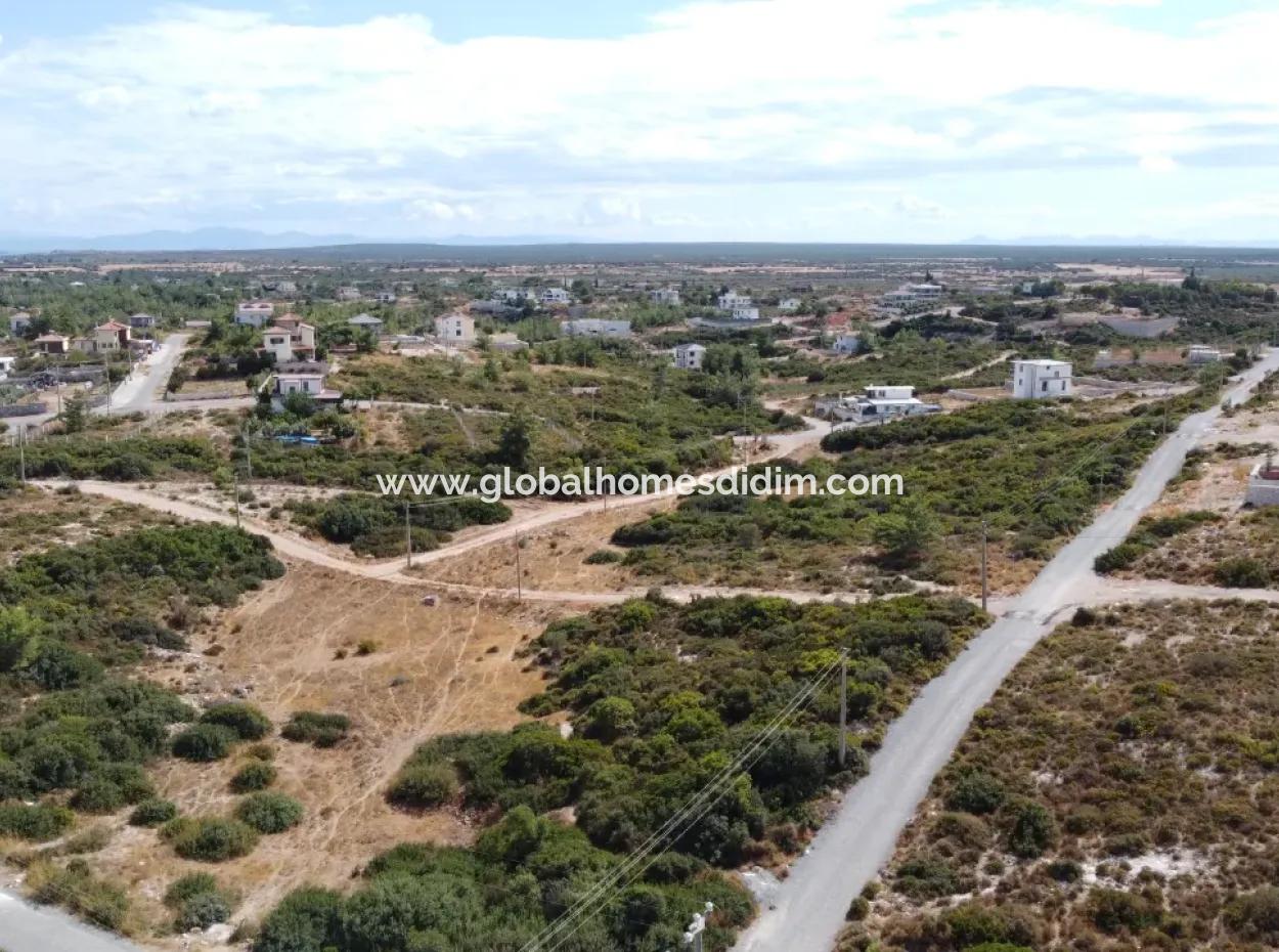 Grundstück Zum Verkauf In Guter Lage In Didim ,Akyeniköy, Seyrantepe