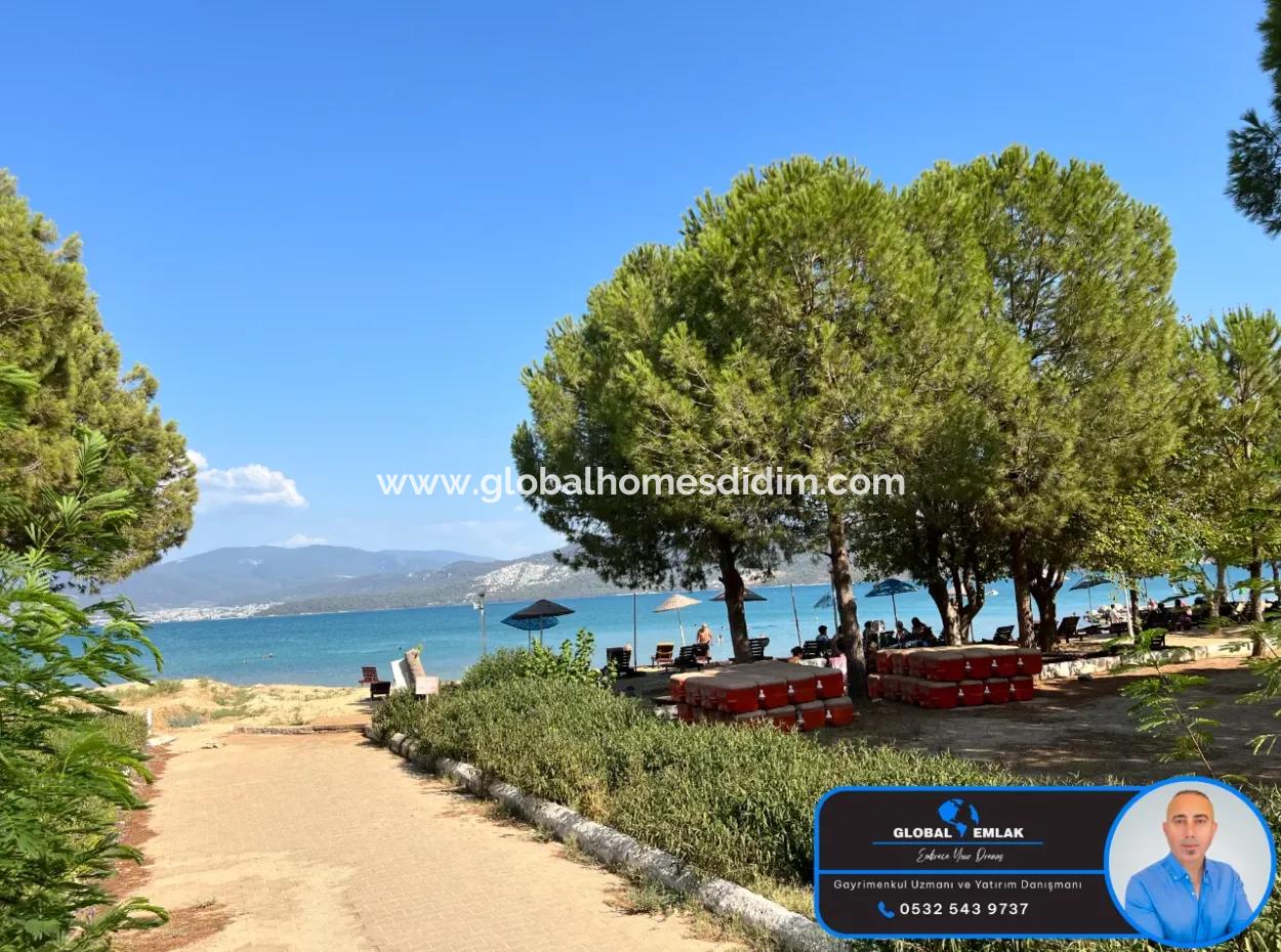 3 1 Villas For Sale In Kocareis Complex By The Sea In The Mercimek Area Of Didim Fevzipaşa