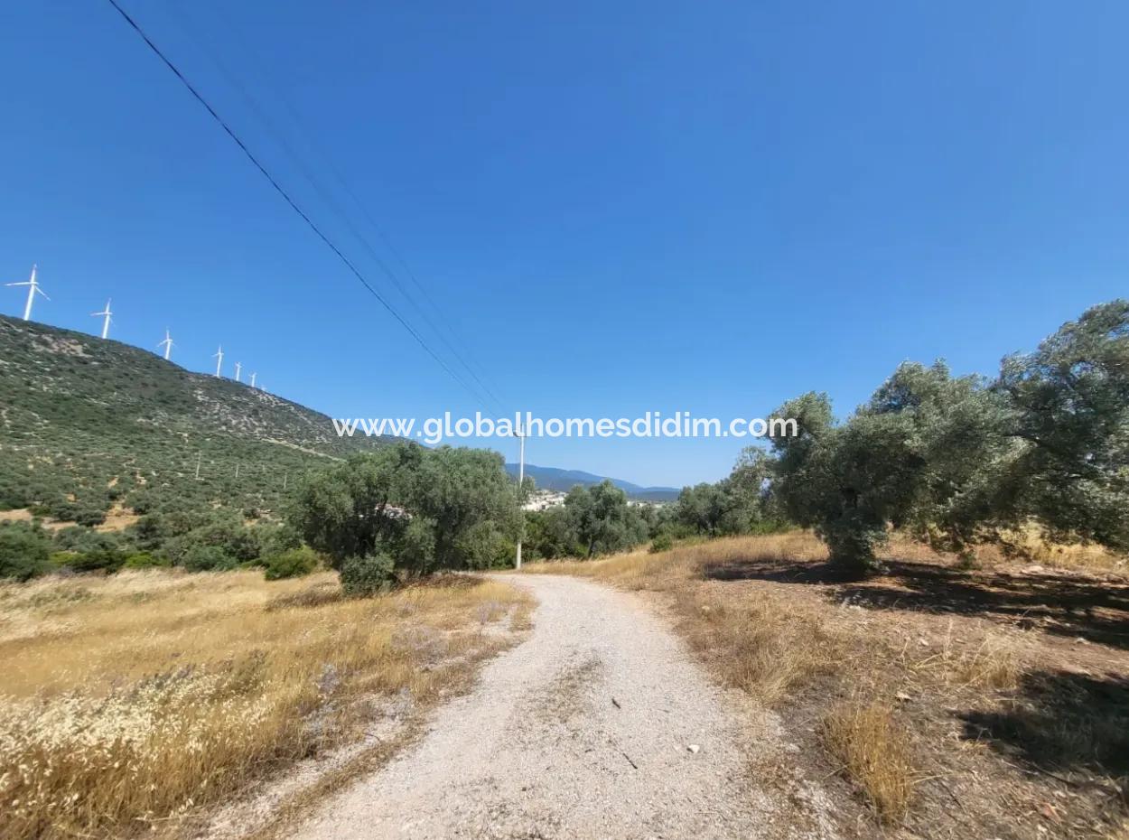 Land For Sale In Didim Fevzipaşa