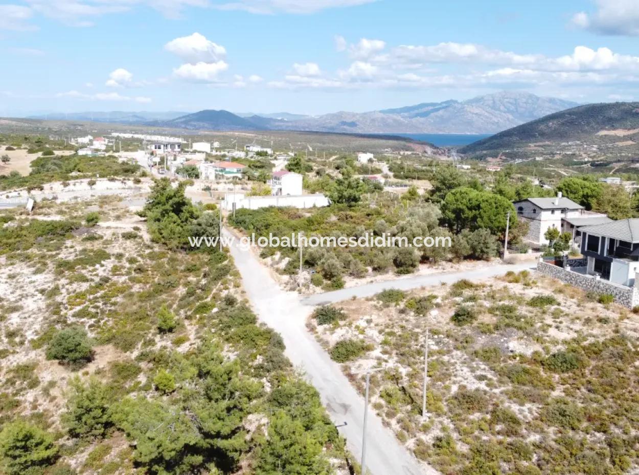 Land For Sale In A Good Location In Didim ,Akyeniköy, Seyrantepe